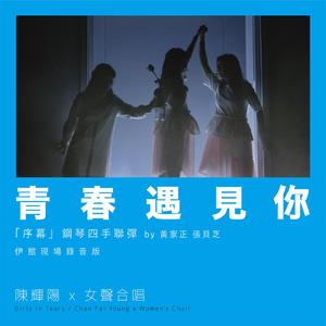 三级片视频播放
