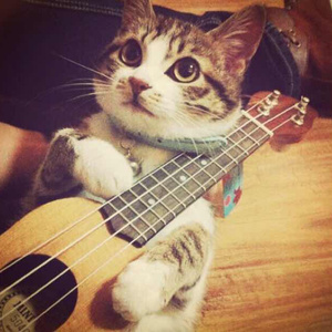 三级片视频播放
