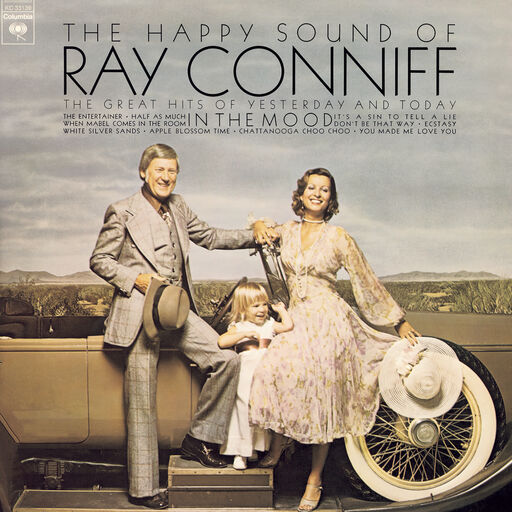 三级片视频播放
